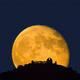 Illustration for article titled The Lick Observatory Lives On With A Fresh Infusion Of Funding